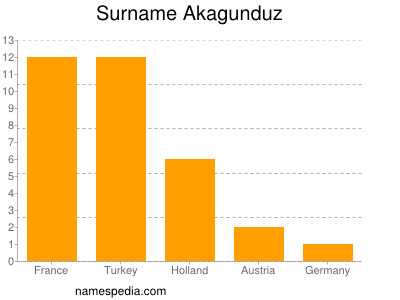 Surname Akagunduz