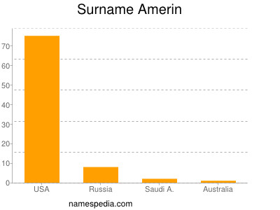 Surname Amerin