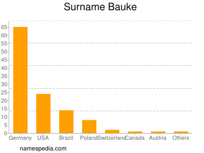 Surname Bauke