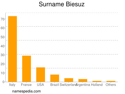 Surname Biesuz
