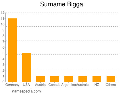 Surname Bigga