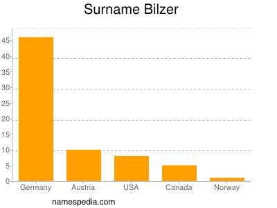 Surname Bilzer