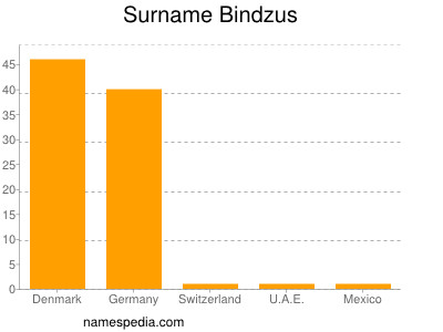 Surname Bindzus