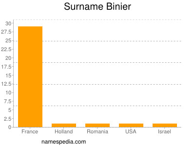 Surname Binier