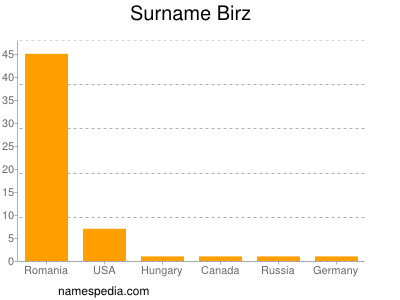 Surname Birz