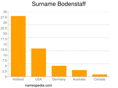 Surname Bodenstaff