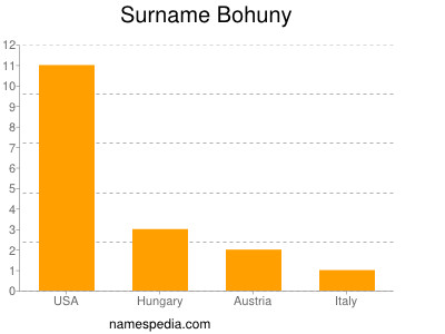Surname Bohuny