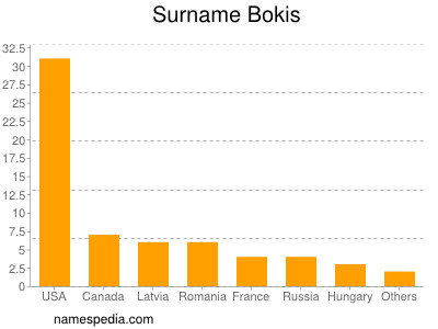 Surname Bokis