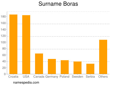 Surname Boras