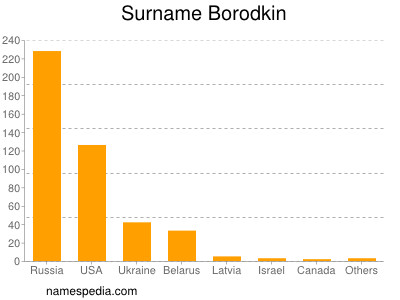 Surname Borodkin