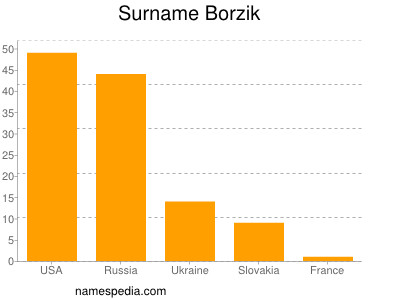 Surname Borzik