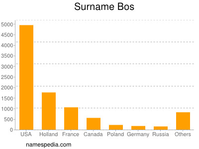 Surname Bos