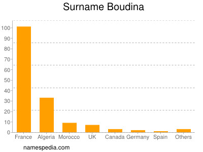 Surname Boudina