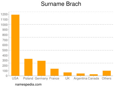 Surname Brach