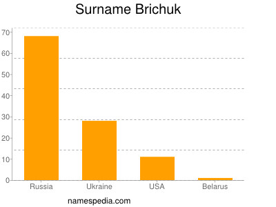 Surname Brichuk