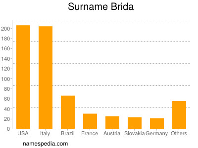 Surname Brida