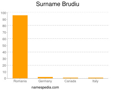 Surname Brudiu
