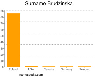 Surname Brudzinska