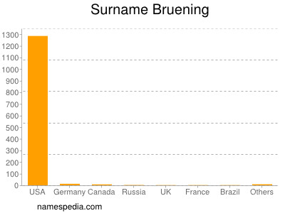 Surname Bruening
