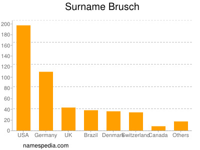 Surname Brusch