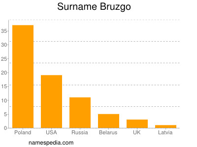 Surname Bruzgo
