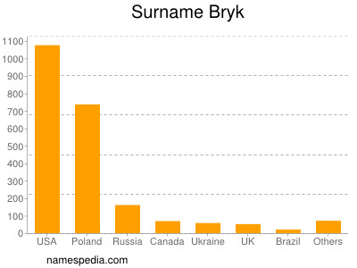 Surname Bryk