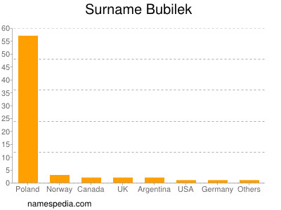 Surname Bubilek