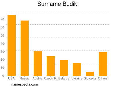 Surname Budik