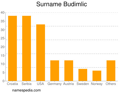 Surname Budimlic