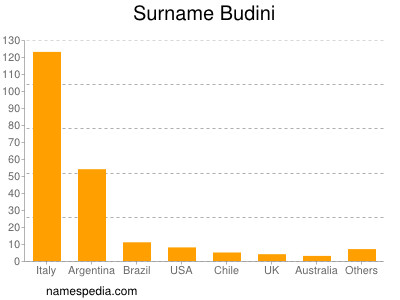 Surname Budini