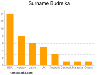 Surname Budreika