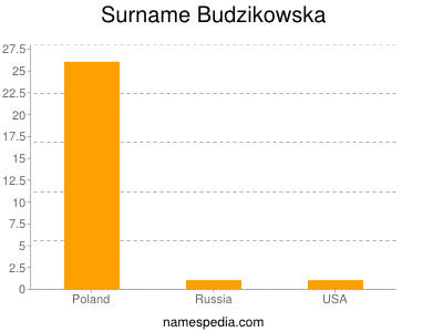 Surname Budzikowska