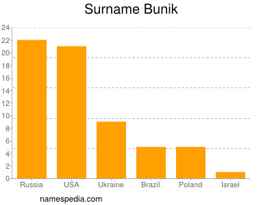 Surname Bunik
