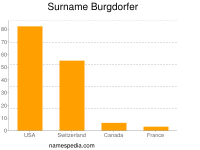 Surname Burgdorfer