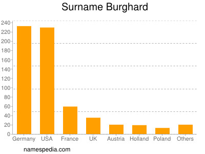 Surname Burghard