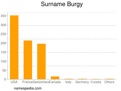 Surname Burgy