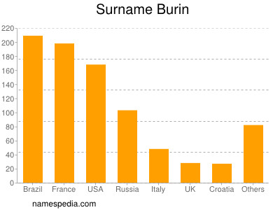 Surname Burin