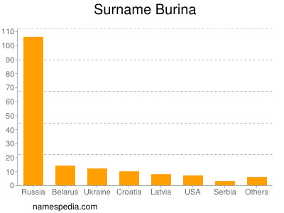 Surname Burina