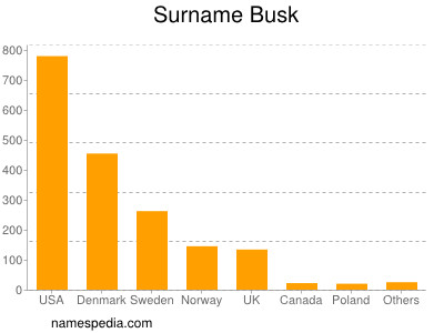 Surname Busk