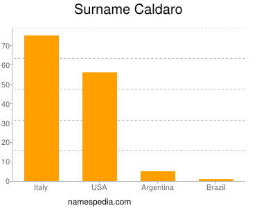 Surname Caldaro
