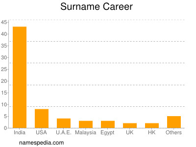 Surname Career