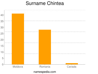 Surname Chintea
