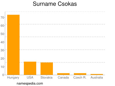 Surname Csokas