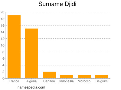 Surname Djidi