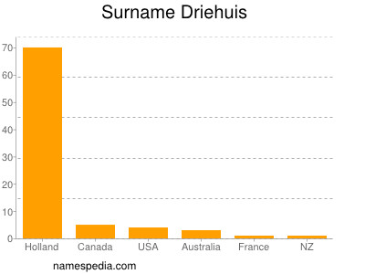 Surname Driehuis