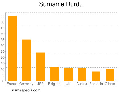 Surname Durdu