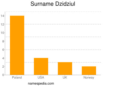Surname Dzidziul