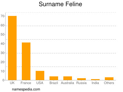 Surname Feline
