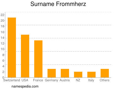 Surname Frommherz
