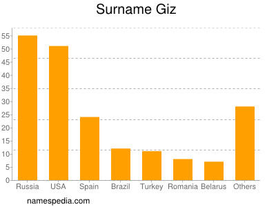 Surname Giz